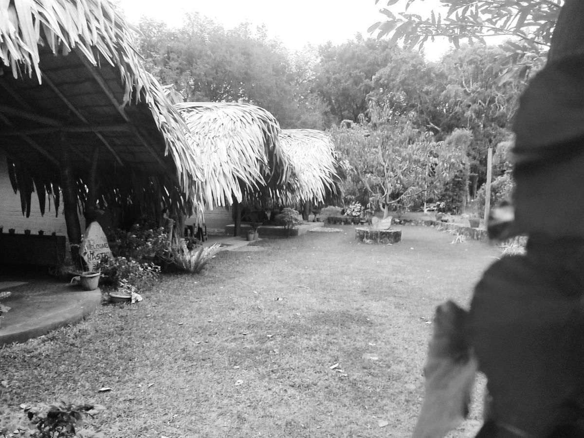 Hasthi Safari Cottage Udawalawe Εξωτερικό φωτογραφία