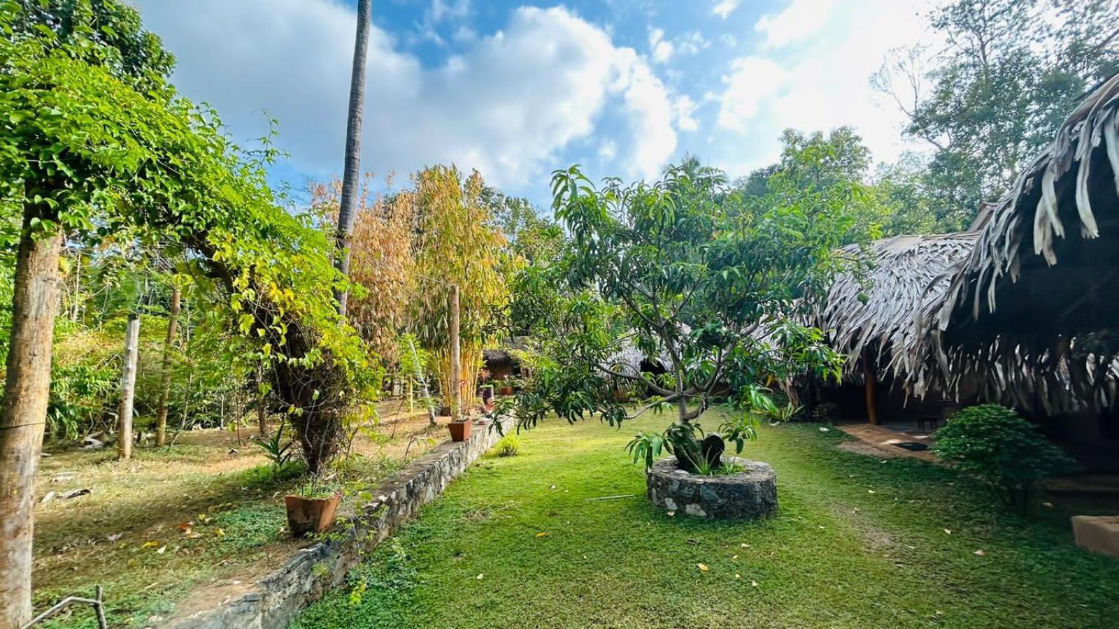 Hasthi Safari Cottage Udawalawe Εξωτερικό φωτογραφία