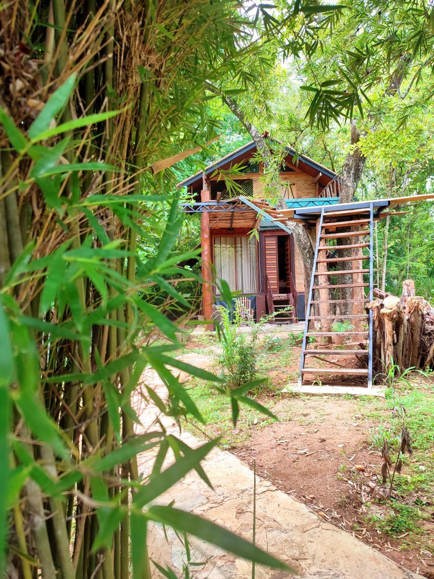 Hasthi Safari Cottage Udawalawe Εξωτερικό φωτογραφία