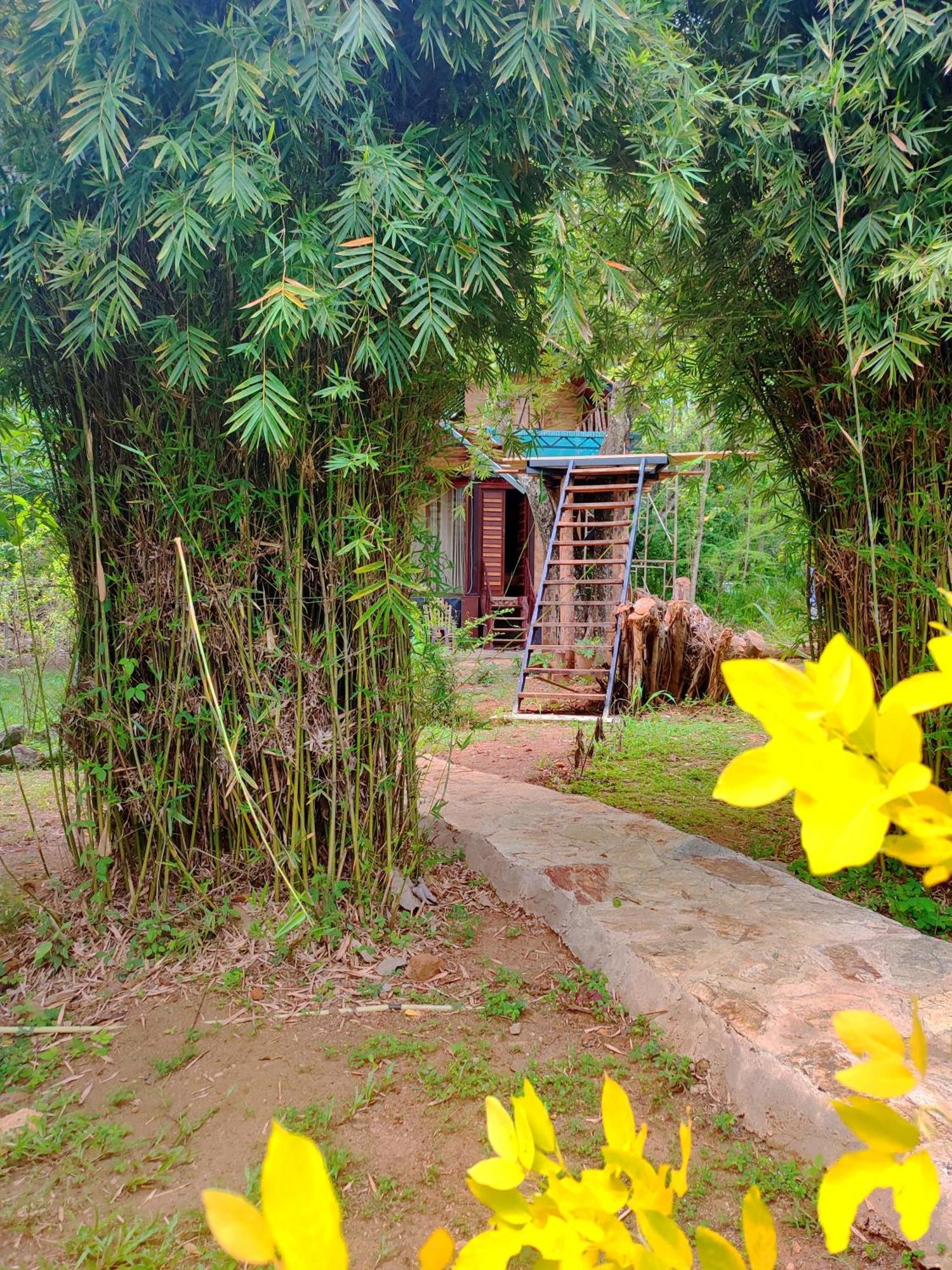 Hasthi Safari Cottage Udawalawe Εξωτερικό φωτογραφία