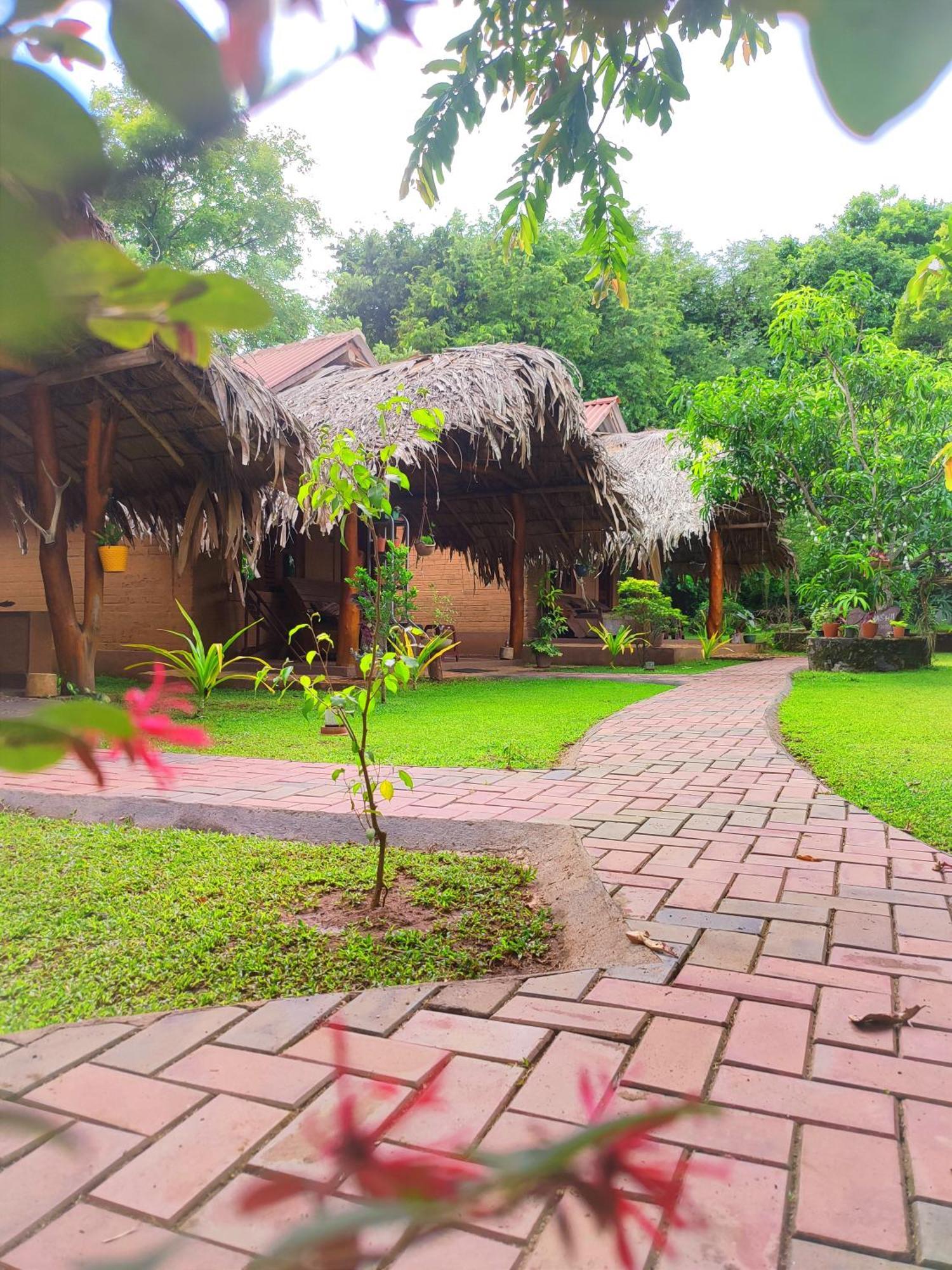 Hasthi Safari Cottage Udawalawe Εξωτερικό φωτογραφία