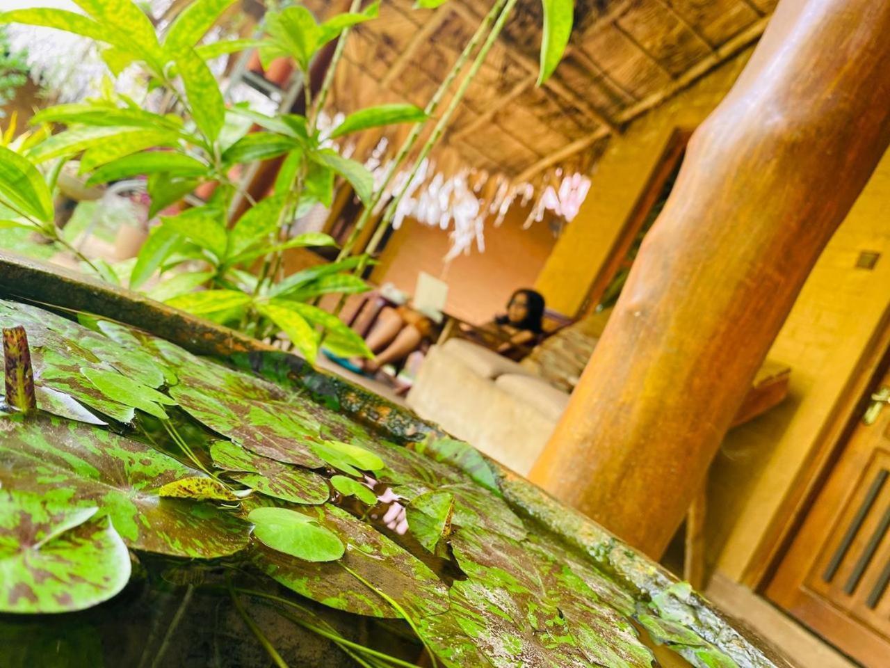 Hasthi Safari Cottage Udawalawe Εξωτερικό φωτογραφία