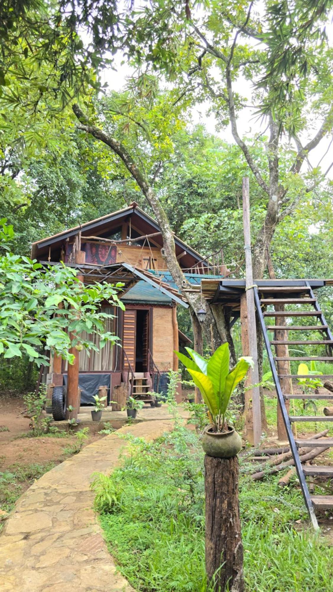 Hasthi Safari Cottage Udawalawe Εξωτερικό φωτογραφία